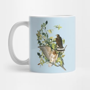 Audubon Broad-winged Hawk Mug